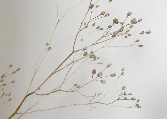 Wohlfuehlen & Entspannen, Durchatmen Appartement *